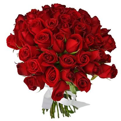 Bouquet of red roses to enchant your loved one