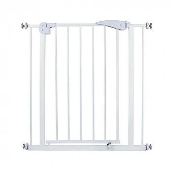 Gate with railing